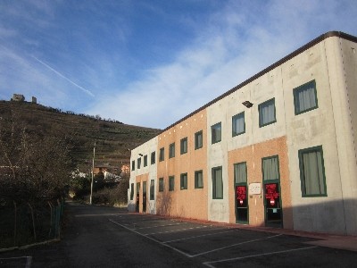 immagine Impianto Sportivo Palestra Comunale Francesco Bertolaso