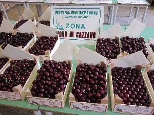 Festa Provinciale delle ciliegie