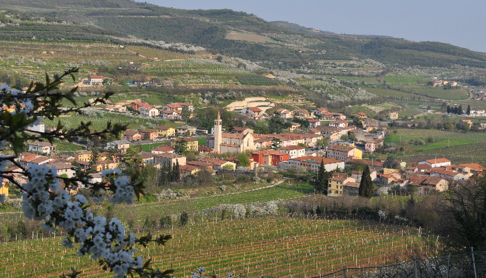 immagine Benvenuti nel nuovo sito istituzionale del Comune di Cazzano di Tramigna