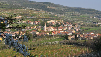 Benvenuti nel nuovo sito istituzionale del Comune di Cazzano di Tramigna