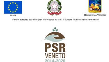 FONDO EUROPEO AGRICOLO PER LO SVILUPPO RURALE: L'EUROPA INVESTE NELLE ZONE RURALI