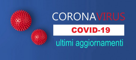 immagine Covid-19 Aggiornamento 04.11.2020