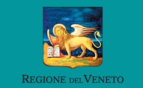 immagine ORDINANZA REGIONE VENETO N. 2/2021