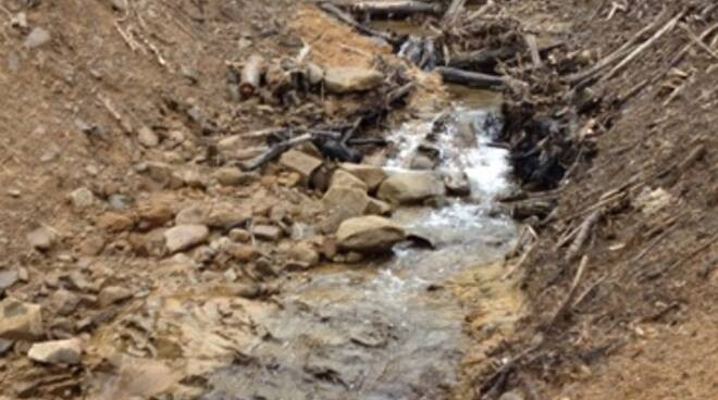 AVVISO  DEL MINISTERO POLITICHE AGRICOLE - EVENTI CALAMITOSI AGOSTO 2020