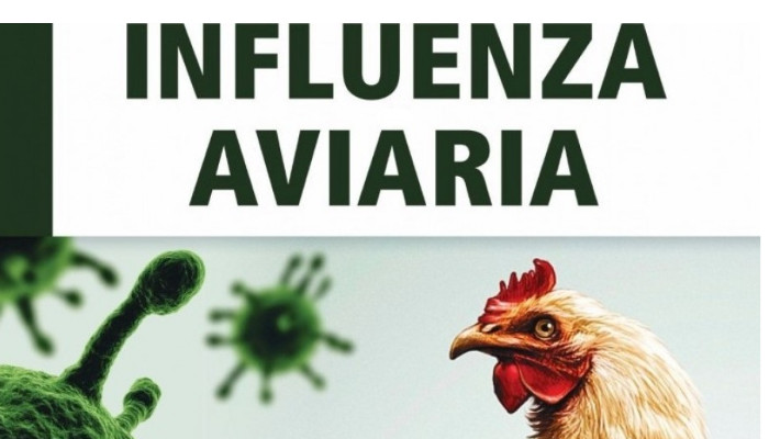 immagine INFLUENZA AVIARIA. AVVISO ALLA CITTADINANZA.