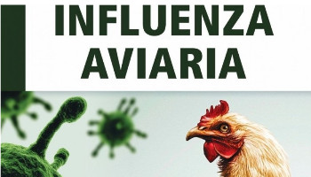 INFLUENZA AVIARIA. AVVISO ALLA CITTADINANZA.