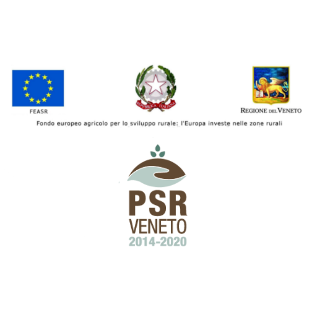 PSR Banner