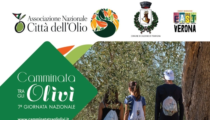 5 novembre 2023 Camminata tra gli Olivi