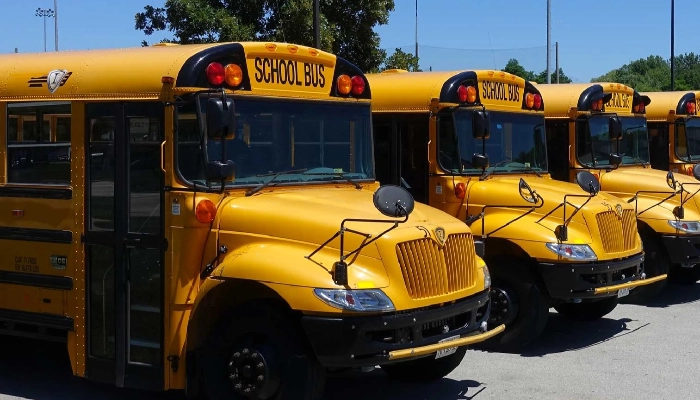 immagine SERVIZIO DI TRASPORTO SCOLASTICO 2024/2025 per gli alunni iscritti alla scuola Primaria di Cazzano di Tramigna